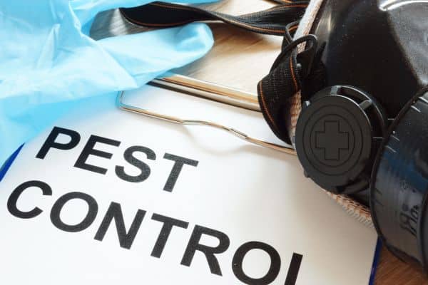 Effective Pest Control Strategies for Apartment Buildings