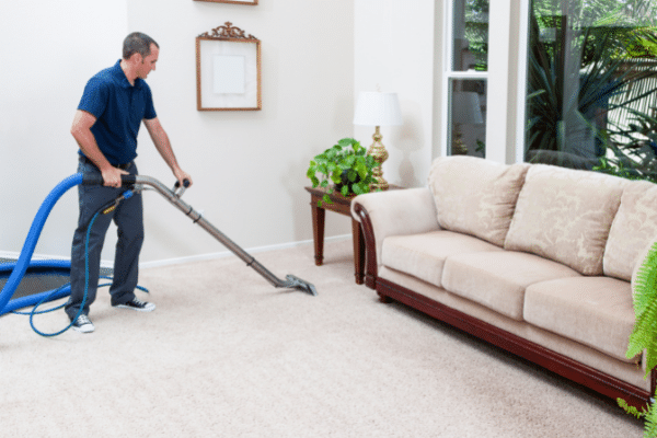 Rug and Carpet Cleaning in Medford MA: Your Ultimate Service Guide