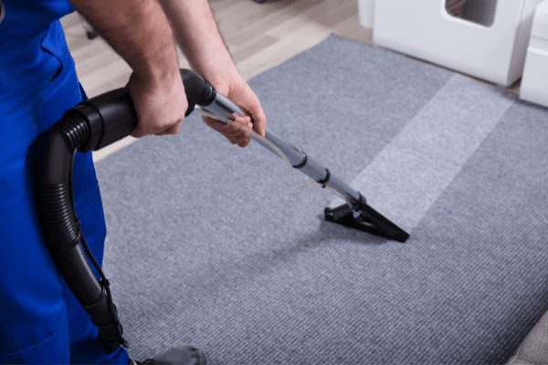 Maid in Arlington: Top House Cleaning Services in MA