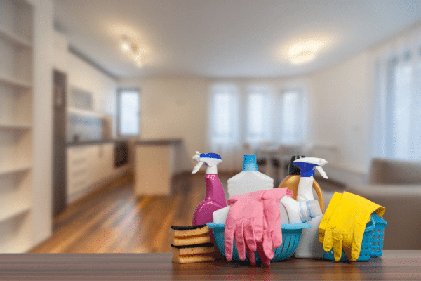 Sparkling Spaces: Top House Cleaning Services in Newton