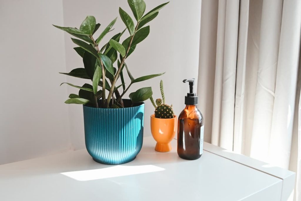 Bathroom Bliss: Discovering Plant-Powered Cleaners