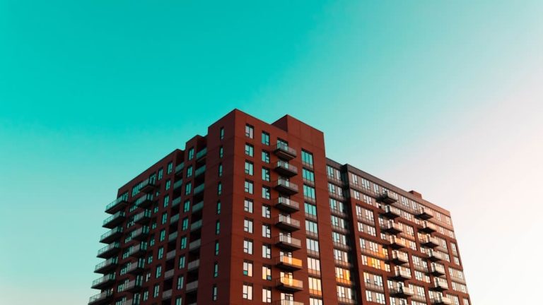 An Essential Guide to Apartment Pest Control